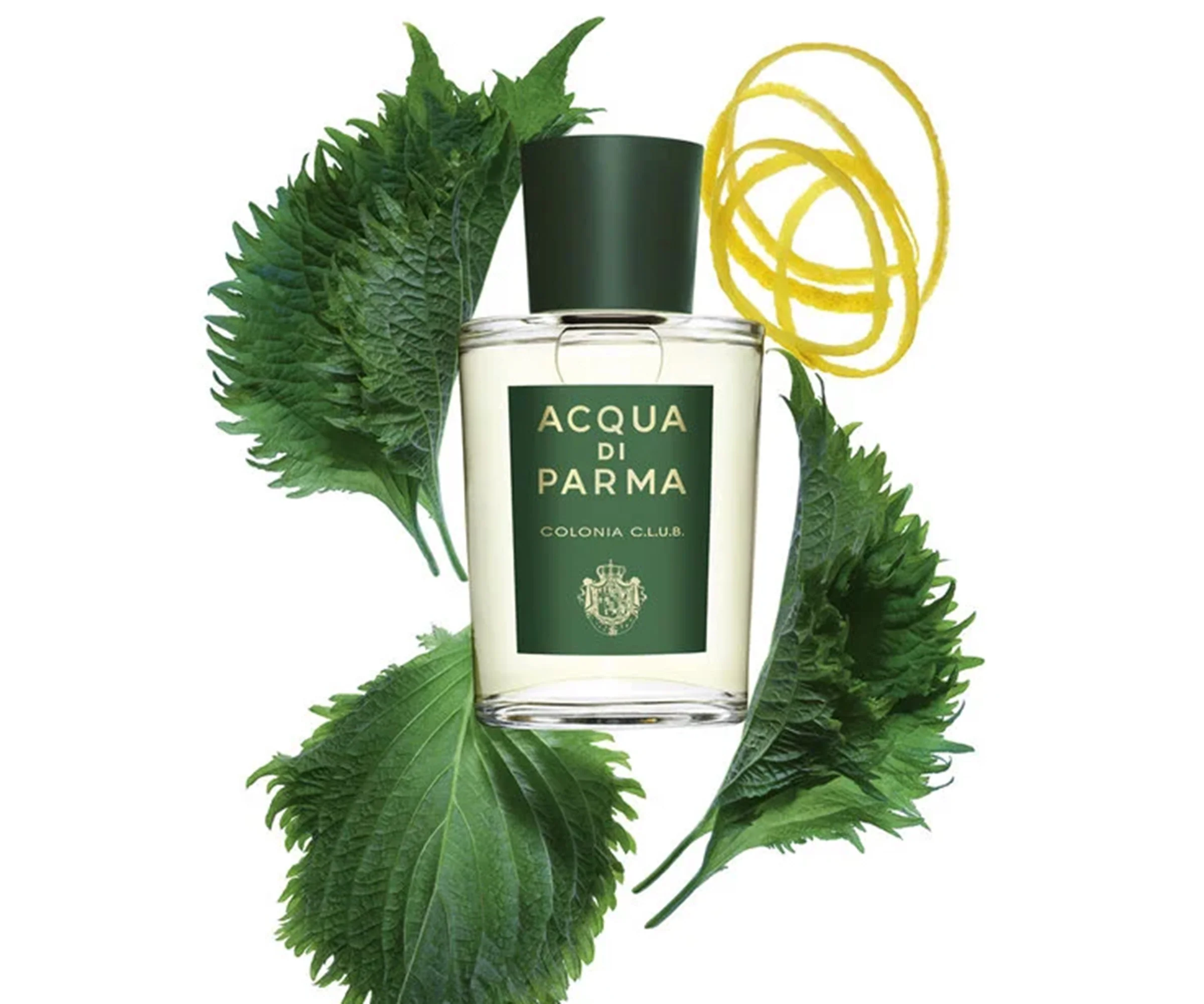 Acqua Di Parma Colonia C.L.U.B 100ml EDC - Image 2